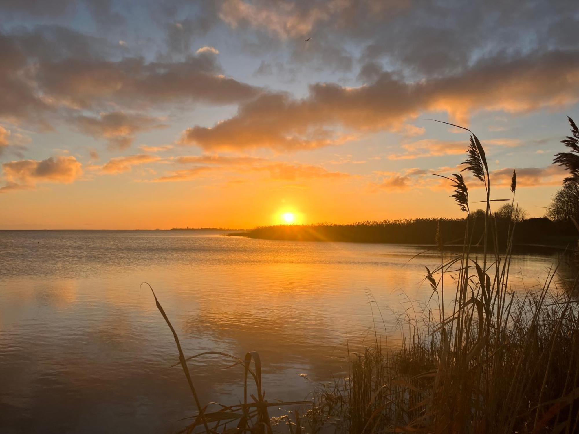 Grosse 4 Sterne Ferienwohnung Beim Boddenstrand Sundhagen-Niederhof Esterno foto
